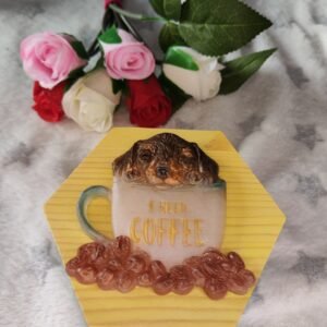 Coffret chien - Objet unique