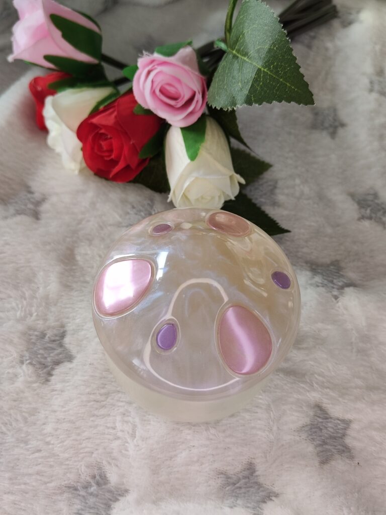 Boite champignon - Fabrication artisanale unique en résine epoxy